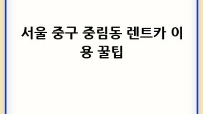 서울 중구 중림동 렌트카 성수기 가격 비교