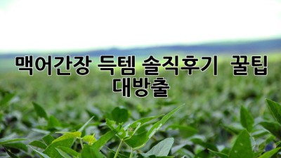 맥어간장 득템🎉 솔직후기 & 꿀팁🍯 대방출!