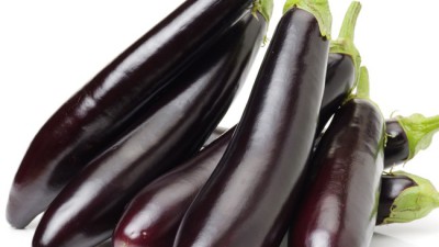 햇빛 가득한 8kg2kg무수정가지 당일수확 가지! 최상품 4kg 특별 할인 중!
