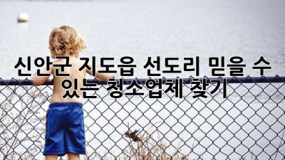 신안군 지도읍 선도리 믿을 수 있는 청소업체 찾기